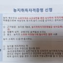 만사오케이 대표 7월 대구 정규 2주 차