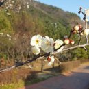 매화한의원 이미지