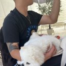 봉남이네호프 | 아 맞다 블챌 ㅠ