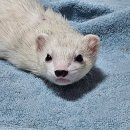 오석헌동물병원 이미지