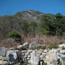 서대산약초