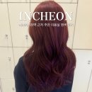 식물원사거리-파리바케트 앞 | 주안 미용실 제오헤어 주안석바위사거리점 주희쌤 염색 후기