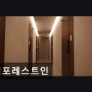 진포레스트인
