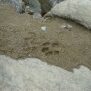 의평마을 이미지