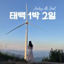 별자리 조형물(12 | [국내/태백] 폭염엔 태백이지ㅣ부모님과 1박2일 태백여행
