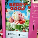 성연초등학교 | 성연 "베스킨라빈스 31"