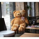 에코의 서재 이미지