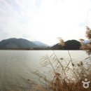 구미공원 배드민턴장 이미지