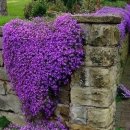 외광보건진료소 이미지