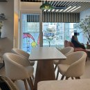 국회대로 | [영등포/당산 카페] 홈리프트가 있는 신기하고 예쁜 카페 이디야 국회대로점 후기