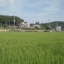 추장민박 이미지