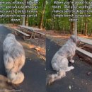 잠시 쉬어 이미지