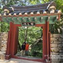 동서트레일7 이미지
