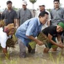 캄보디아 농업의 핵심 요소는 관개시설이다 이미지