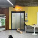 여기서지금 이미지