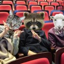 찾아가는국립극장-나는 재미있는 낙타예요 | 찾아가는 국립극장 이날치전(이날치傳), 다채로운 소리판 보고왔지