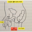 물라 이미지