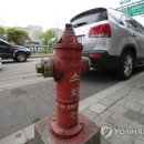 주정차67 이미지