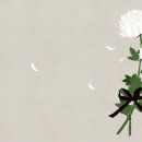 고 김해숙 이사님 부고. 이미지