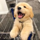 청량리 슬기 동물병원 이미지