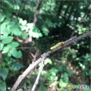 숲어린이집 이미지