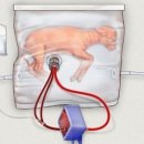 미래아동병원 이미지