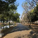 세븐일레븐 경주동천2호점 | [2025 태국] DAY 4 수코타이 여행하기(수코타이 역사공원, 왓시춤, 카페 추천, 야시장)