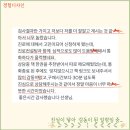 커리어컨설팅 이미지