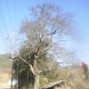 농원마을경로당 이미지