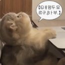 수제꼬치오뎅포차 이미지