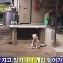 디원스팩 이미지
