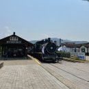 곡성교통 | 곡성 세계장미축제 다녀온 후기, 주차정보·레일바이크·꿀팁 총정리