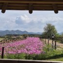 주남저수지 단풍나무화장실 이미지