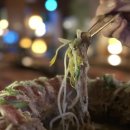 구주홍대 이미지