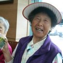 진흥농약사 이미지