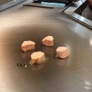 [다이어리/여행일지] 하카타는 이제 내 홈타운 / 나가사키 여행 / 후쿠오카 여행