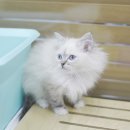 천안행복건강생활