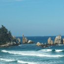 월곶행정사 이미지