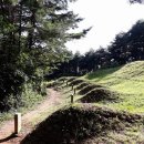 화성면사무소 이미지