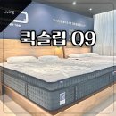 신혼 부부침대 추천 고민! 라지킹 매트리스 퀵슬립Q9 매장 체험