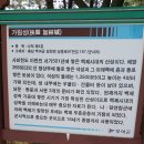 임천중학교 이미지