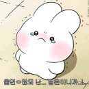 큰옷통통 | 큰옷통통마녀 불호 방문 후기