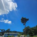 숲속애소 이미지