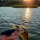 쏘가리네 | 쏘가리 루어 낚시 입문용 장비 추천과 실제로 사용한 후기