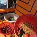 홀리데이펜션 이미지