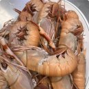 동문시장(주) 이미지