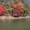 산정호수 가족글램핑 이미지