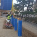 샘머리초교병설 이미지