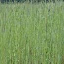 후미2리 이미지