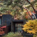 리리포레스트